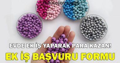 ek iş başvuru formu